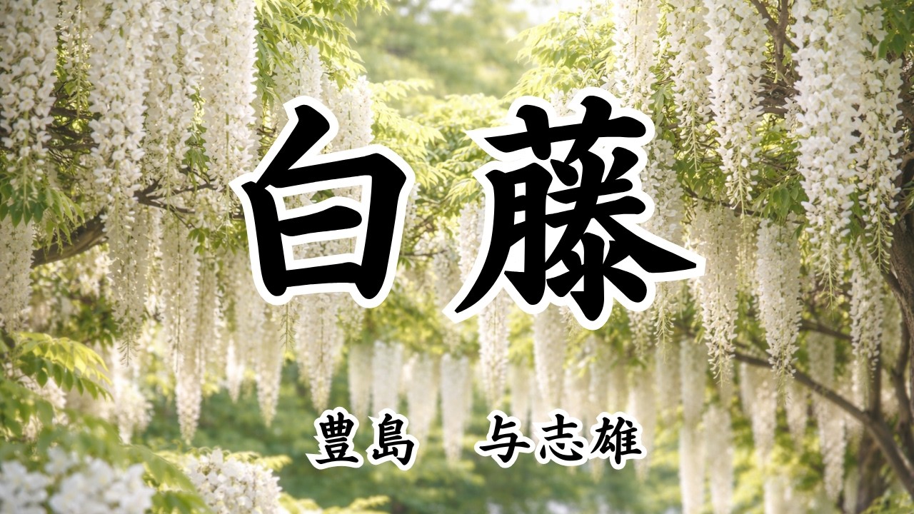 が【日本文学の朗読】豊島与志雄『白藤』近代説話～互いに愛を打ち明ける事無く生と死に別れてしまった男女。二人をつないでいた白い藤が、残された帰還兵を再生させる・・・～