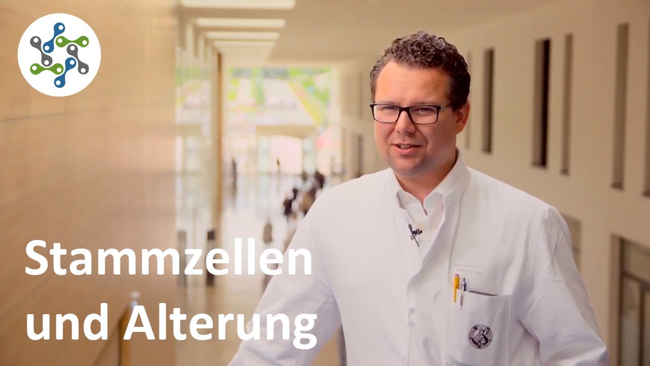Stammzellen und Alterung