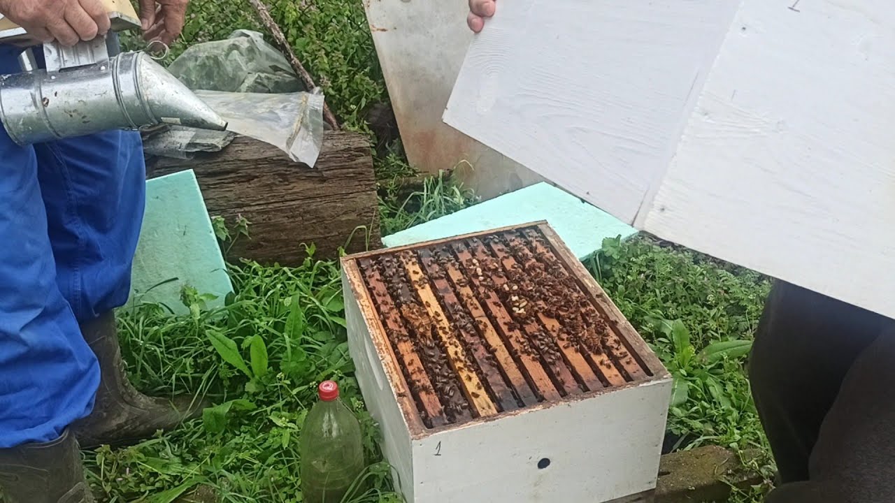 Кога се прави първата ротация при ЛР