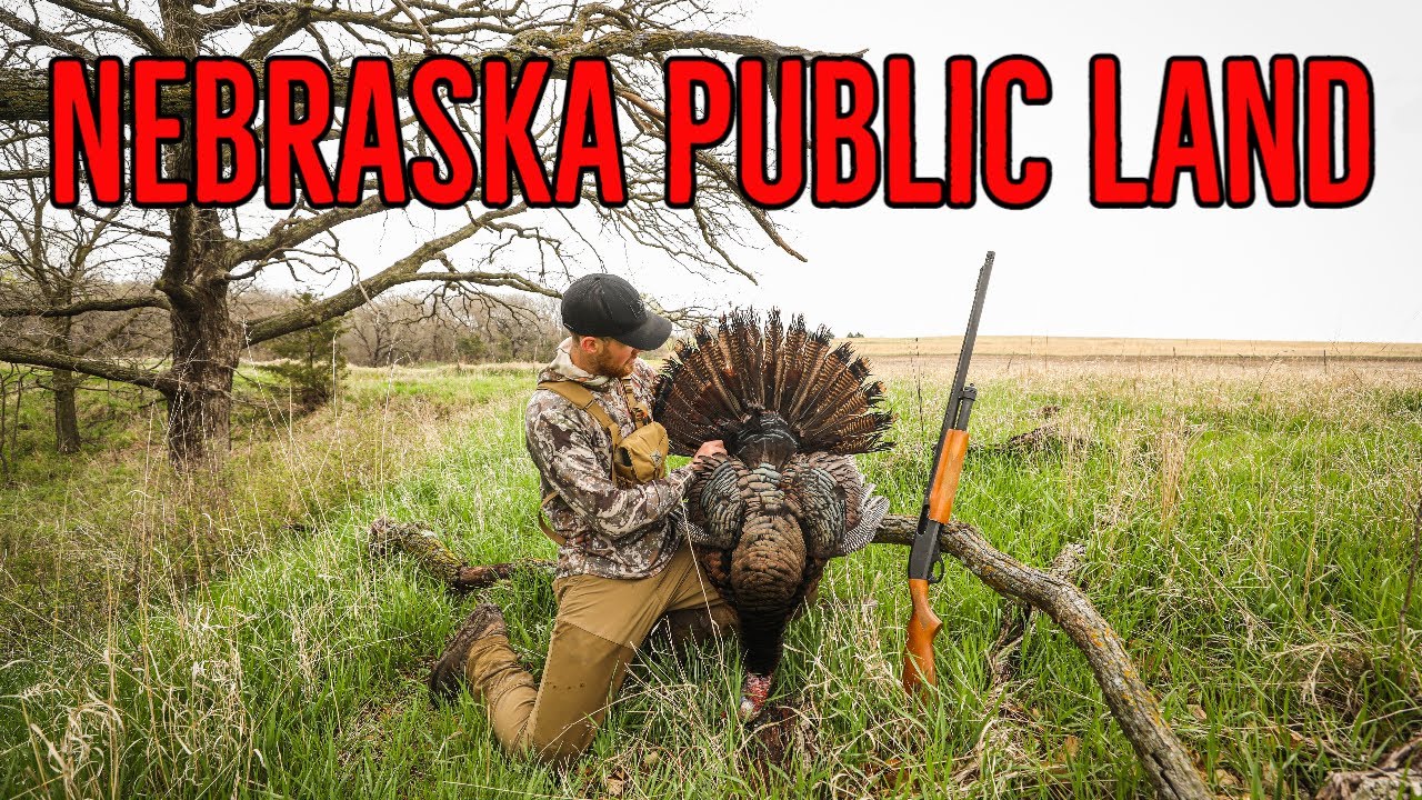 Nebraska PUBLIC LAND Gobbler!