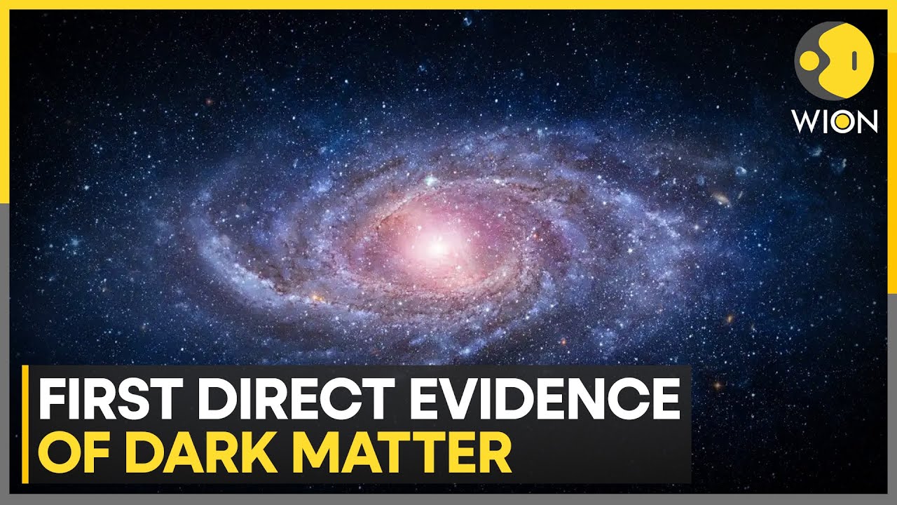 Japanese Scientist Spots Dark Matter Signal | WION