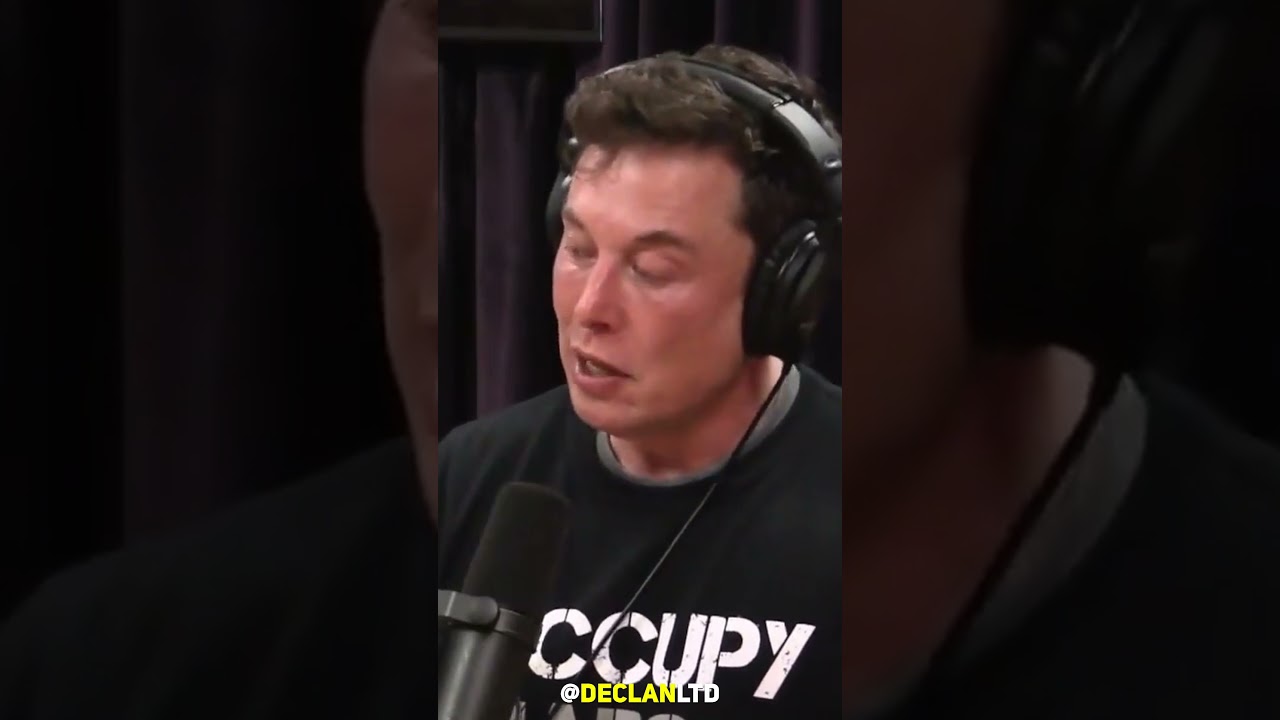 Elon Musk's Opinions On Instagram