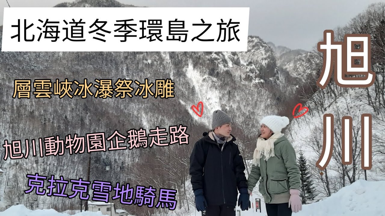 【北海道自助旅行】13日 EP7旭川|層雲峽冰瀑祭|旭川動物園|克拉克雪地騎馬|大雪山食堂|企鵝走路|北極熊|成吉思汗大黑屋|三洋鍋|旅遊Vlog