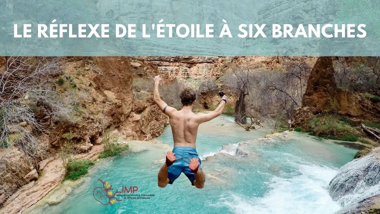 Le réflexe de l'étoile à six branches - Intégration Motrice Primordiale (IMP)
