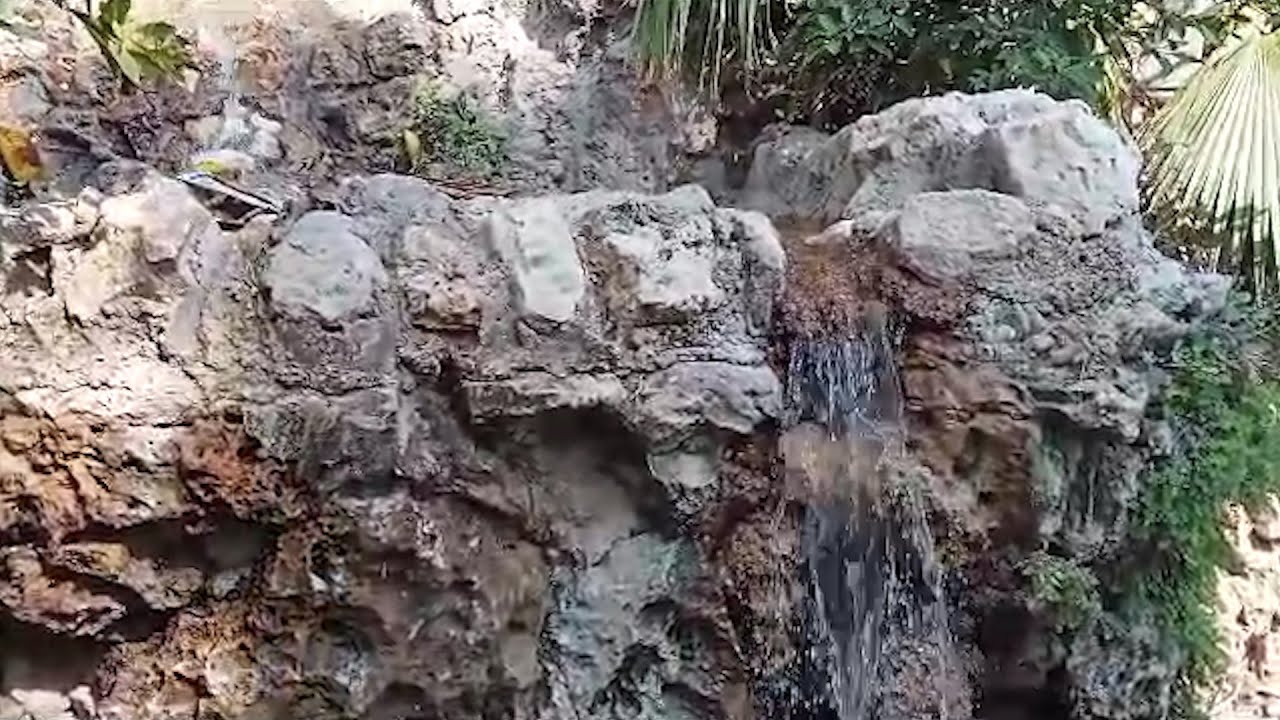 حدائق الشلالات في الإسكندرية تجمع التراث والتاريخ والأشجار النادرة.. «الدخول مجاني»