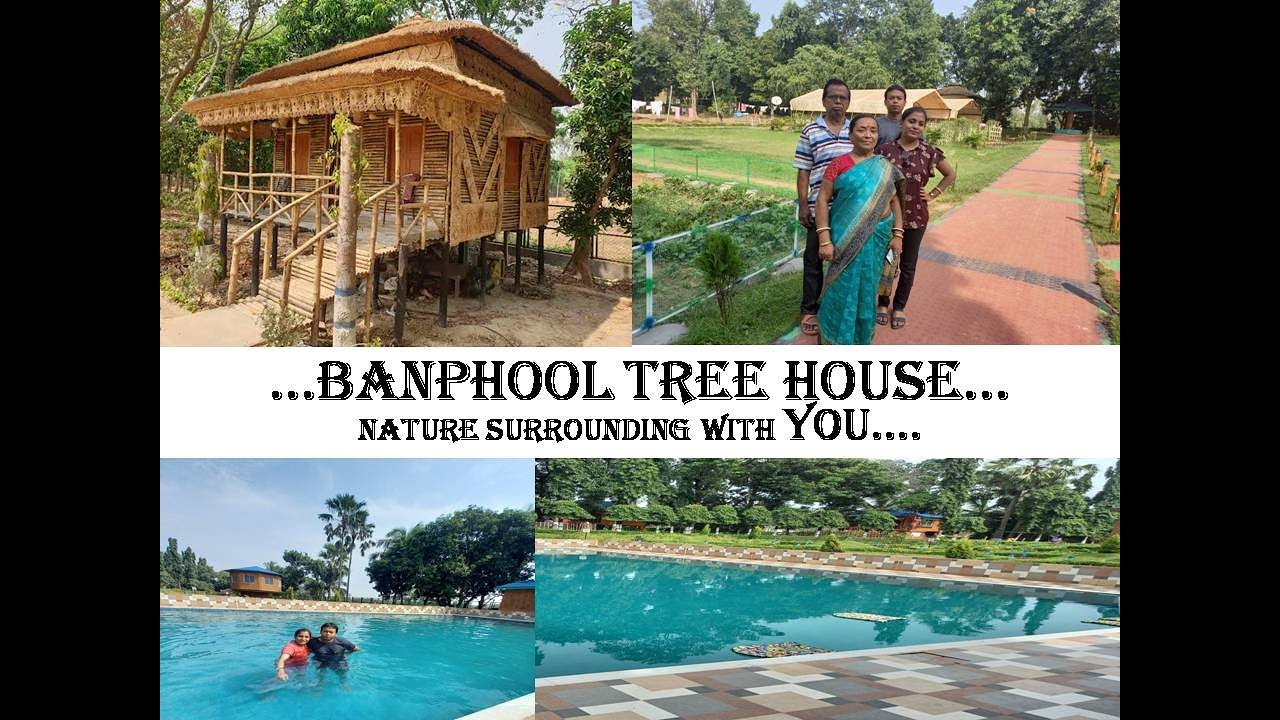 Banphool Tree House at Joypur, Bankura, West Bengal. Nice Place to Stay. #bankura
