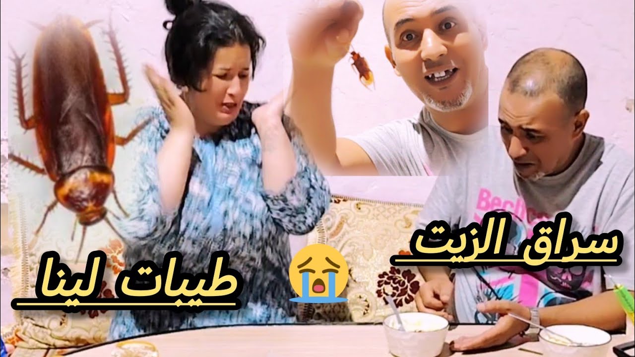 بشرى طيبات لينا الشعرية 👍فيها سراق الزيت🪳🪳🪳