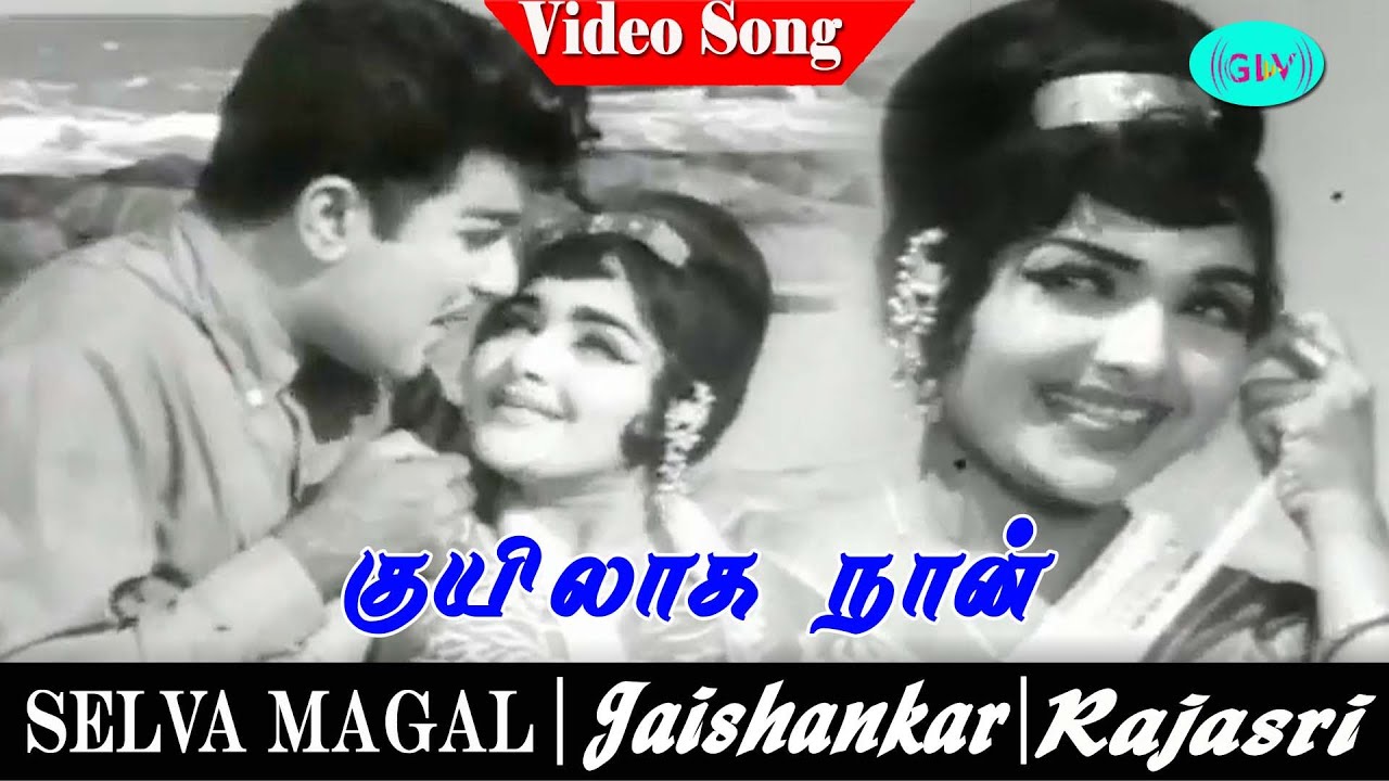 Selva Magal Tamil Movie Song | Kuyilaga Naan  Video Song | Jaishankar | Rajasree | M. S. Viswanathan