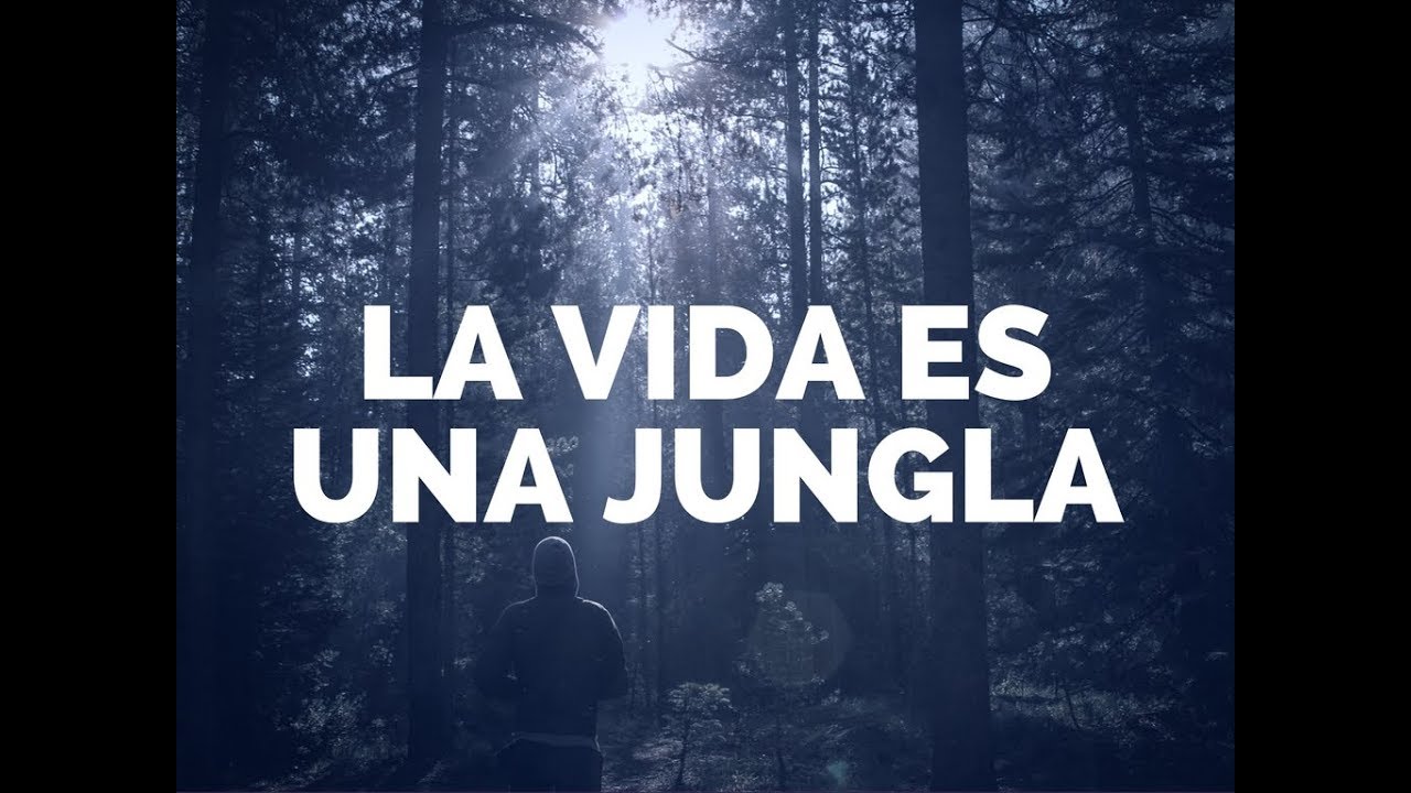 No os engañeis, la vida es una jungla