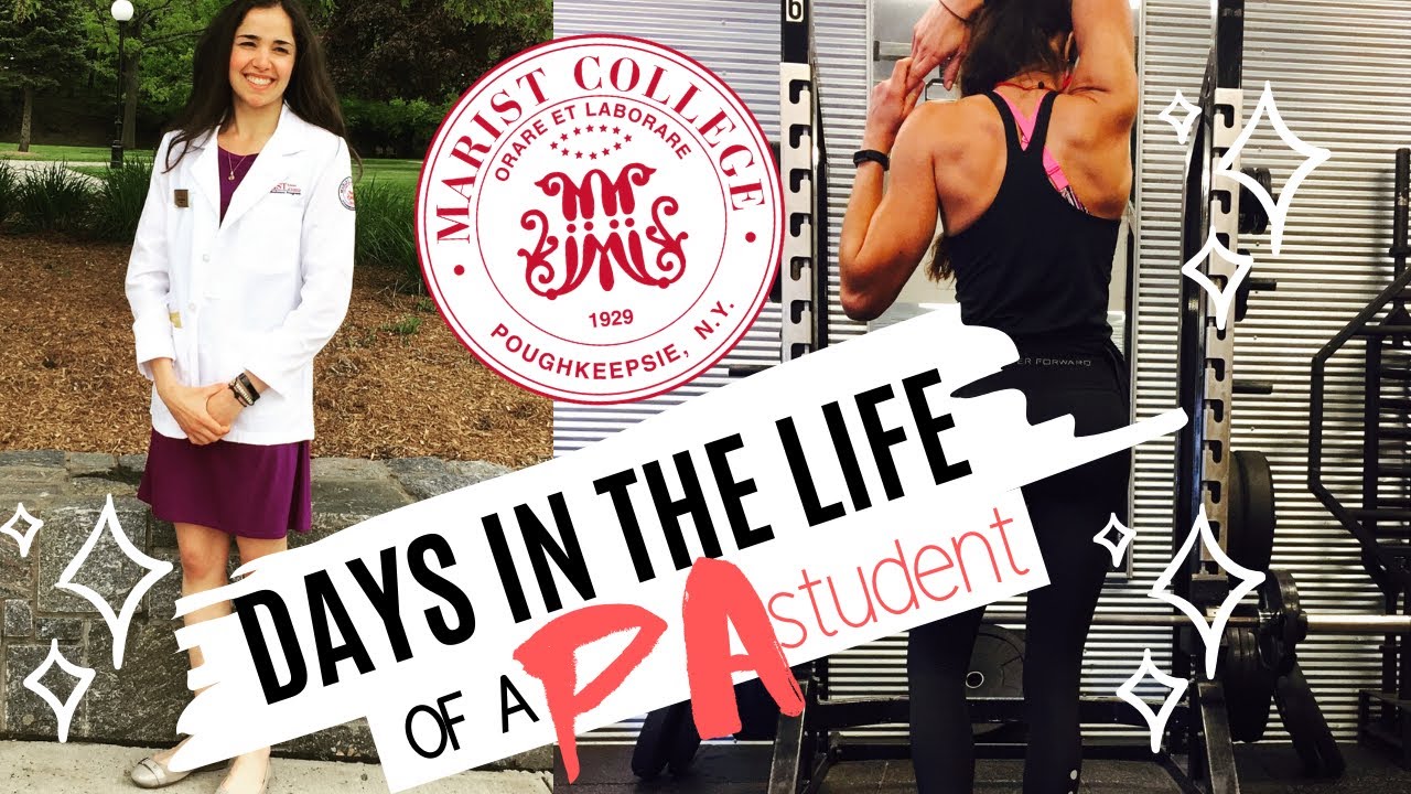Days In the Life of a PA Student || Gym, Studying, Didactic Year Life