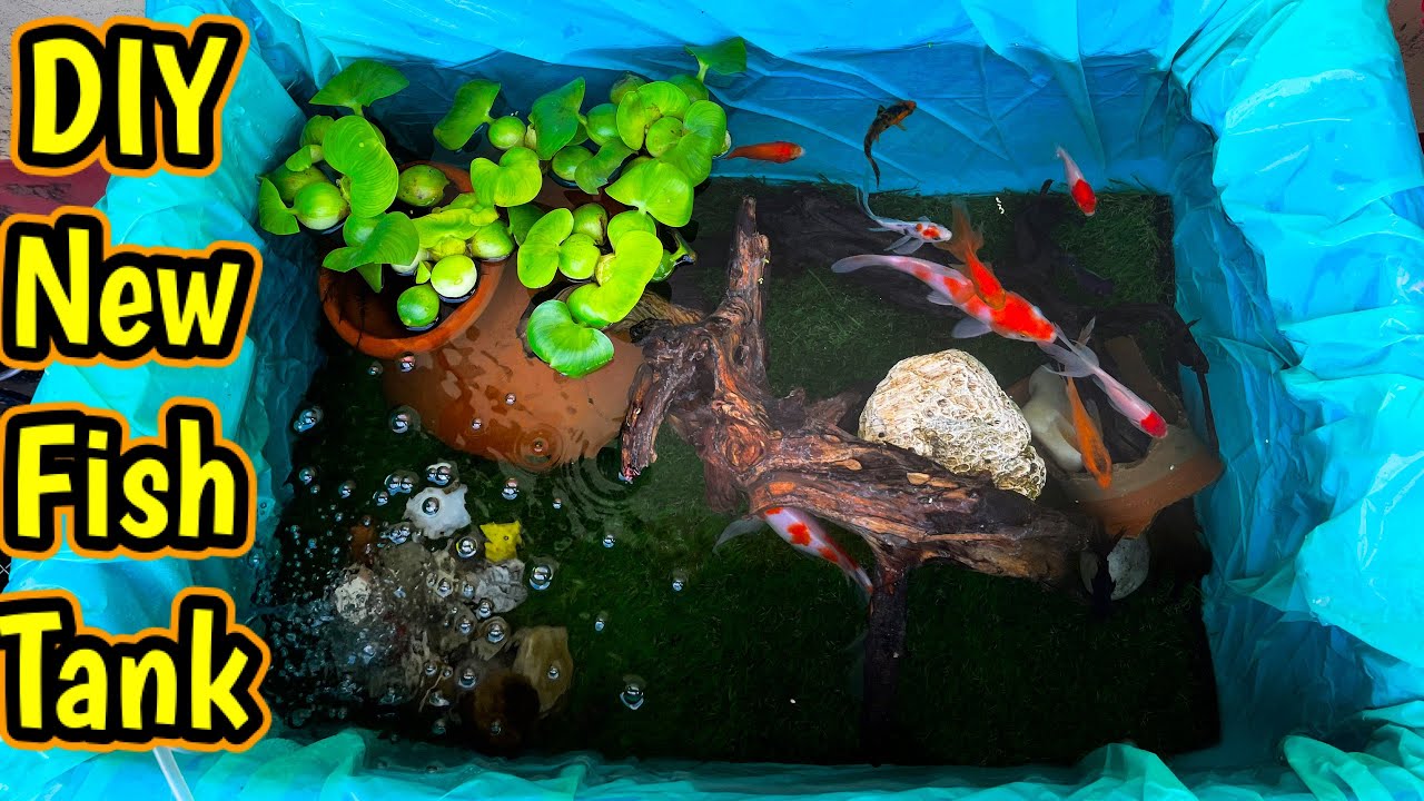 New DIY Outdoor Fish Tank Low Budget 😃❤️ for Imported Koi Carp and Goldfish | Fish Tank Outdoor