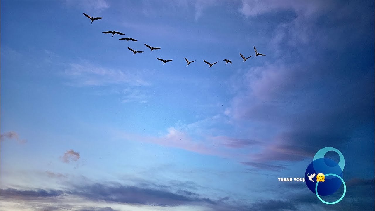 🕵🏻‍♂️🔬THE MONTH OF JANUARY OF THE 2026 YEAR A VIEW OF THE NATURE VIA DJI, PART - 3 PLEASE ENJOY(:🕊️😊