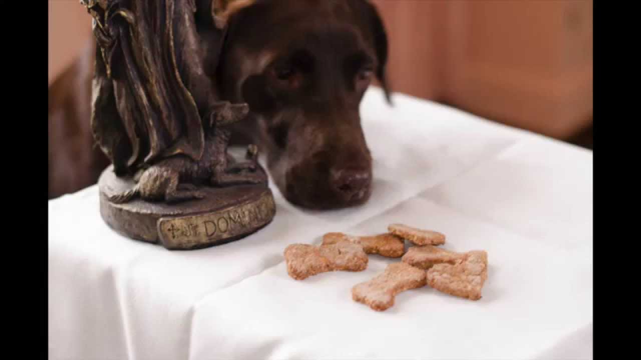 St. Dominic and a Dog's Life