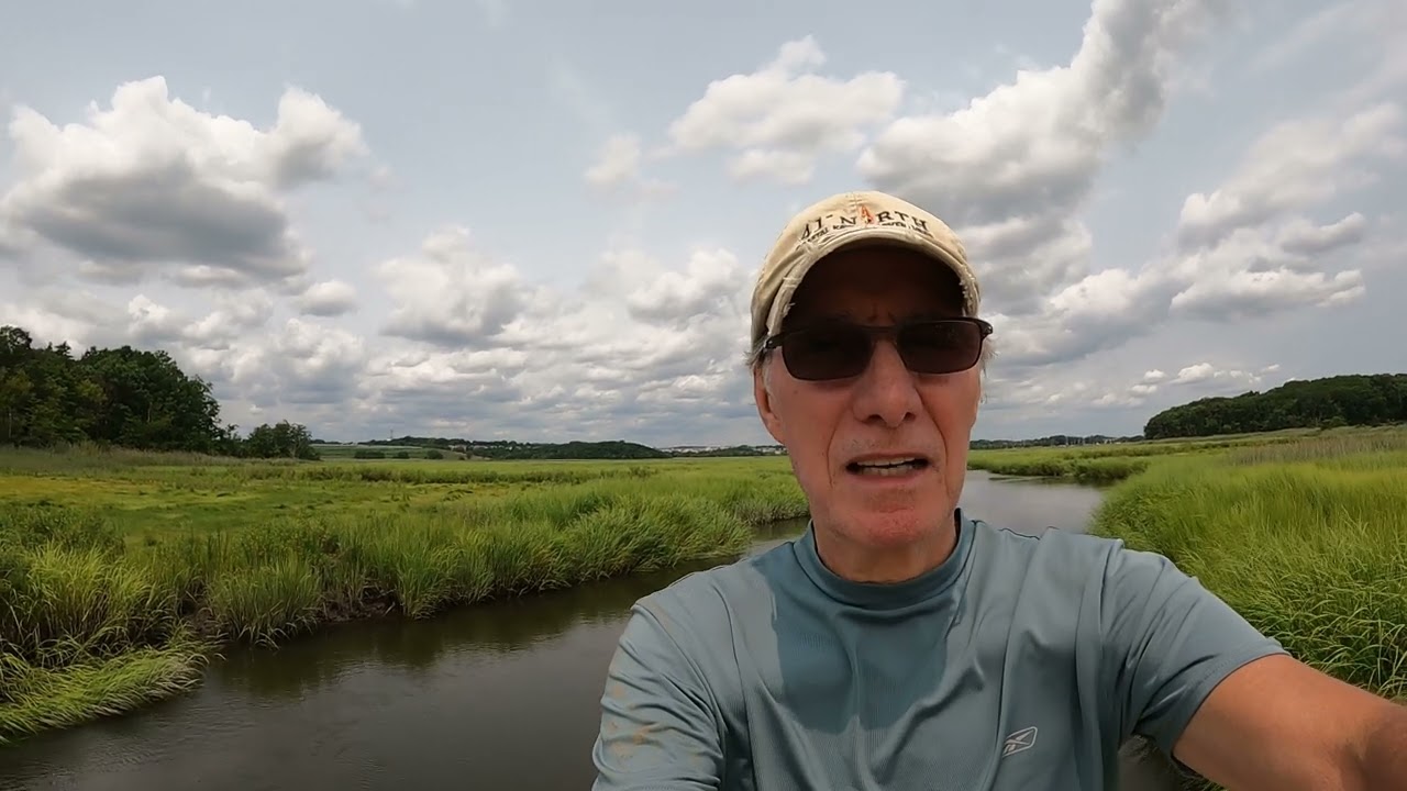 Cheesequake Creek (Paddle to Crab Bridge)