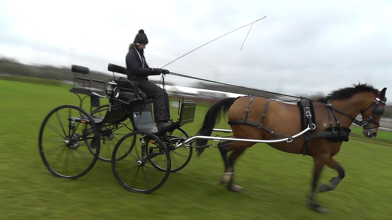 Training Ad Aarts 24/12/2017 deel 2