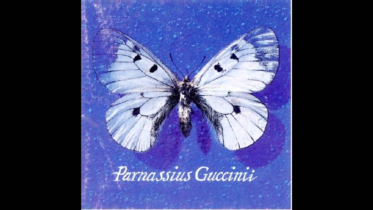 Francesco Guccini - Acque