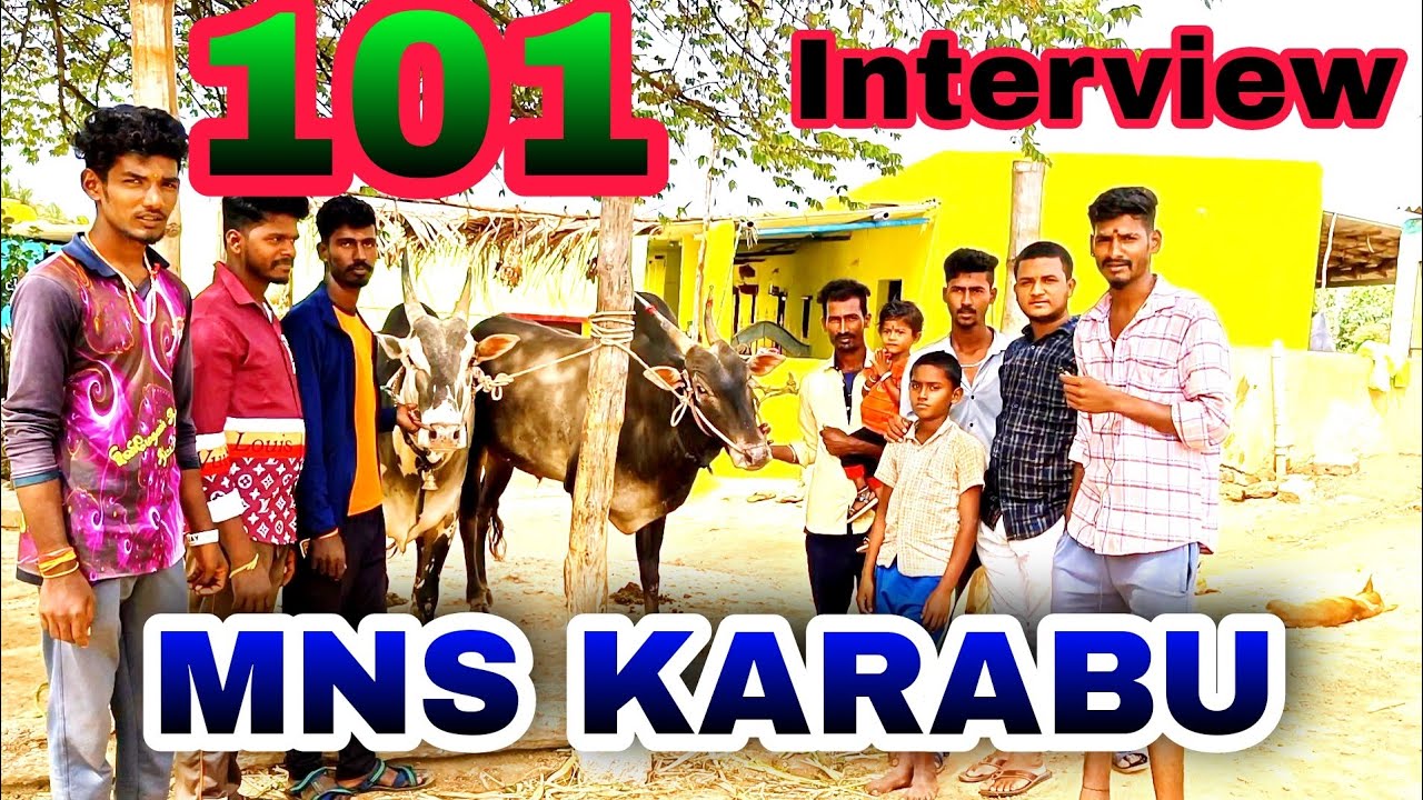🔥MNS KARABU 101 🔥 Aggressive Bull interview @munirajuvlogs4359