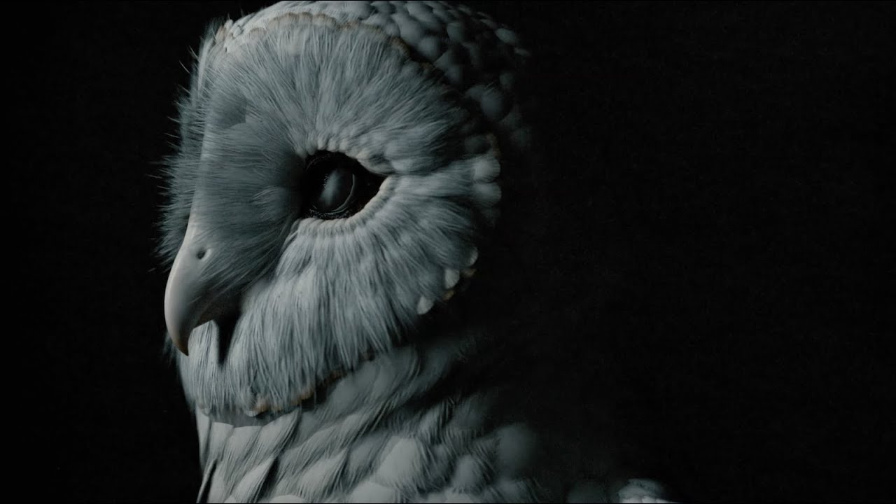 Deftones – This Place Is Death (Official Visualizer)