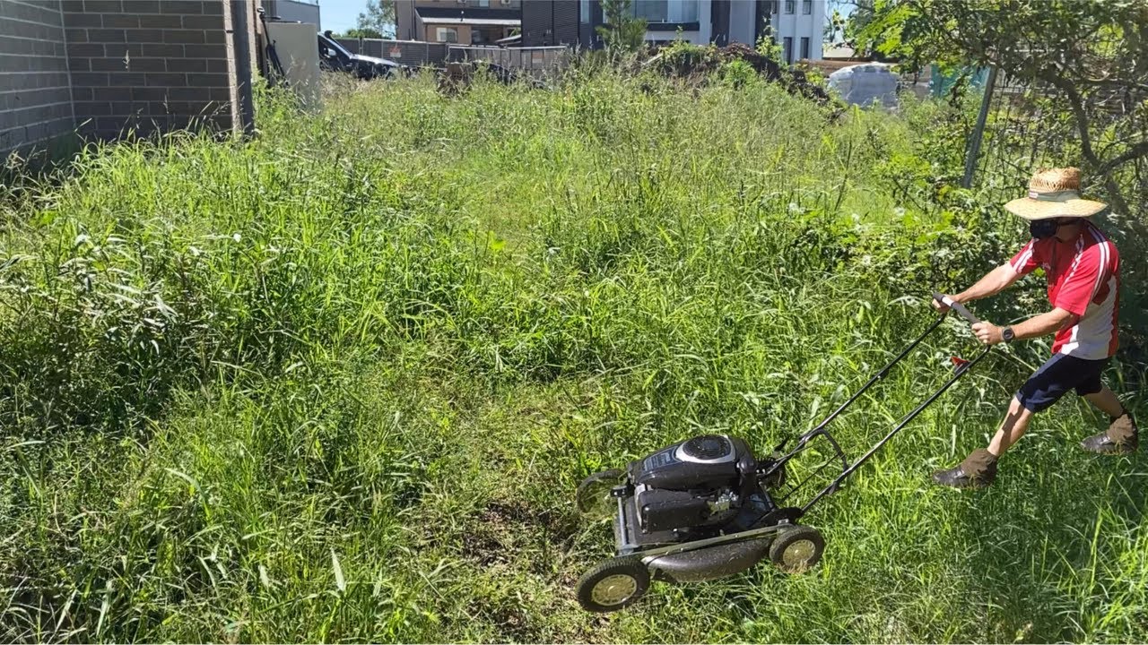 Owner Wants Me Back! Overgrown Yard Cleanup