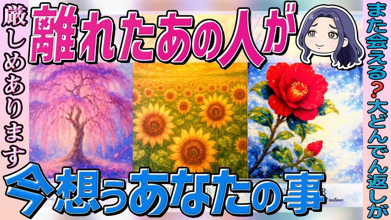 【厳しめ真実あります⚠️】あの人は今何をしていて、誰を想っているの...。忖度なしにつき、見る見ないの判断を🙏当たるタロット占い・オラクル・ルノルマン
