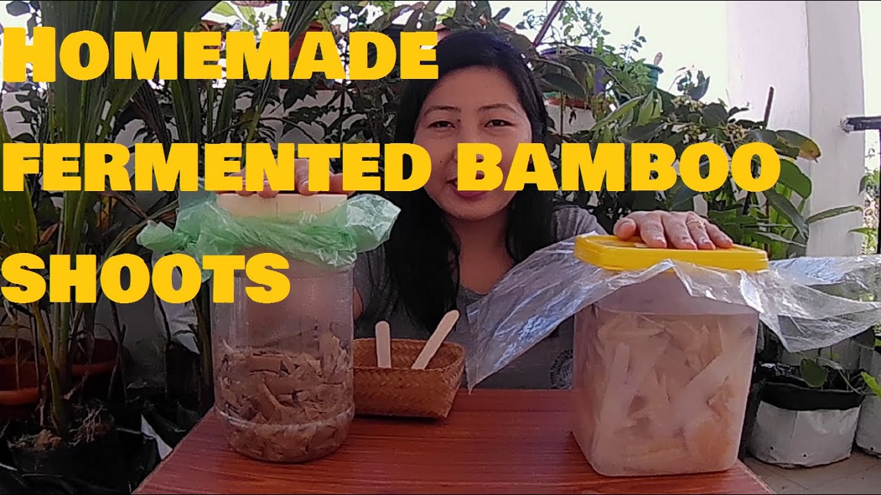 Homemade soibum (Fermenting bamboo shoots) in Manipuri and Nagaland style.