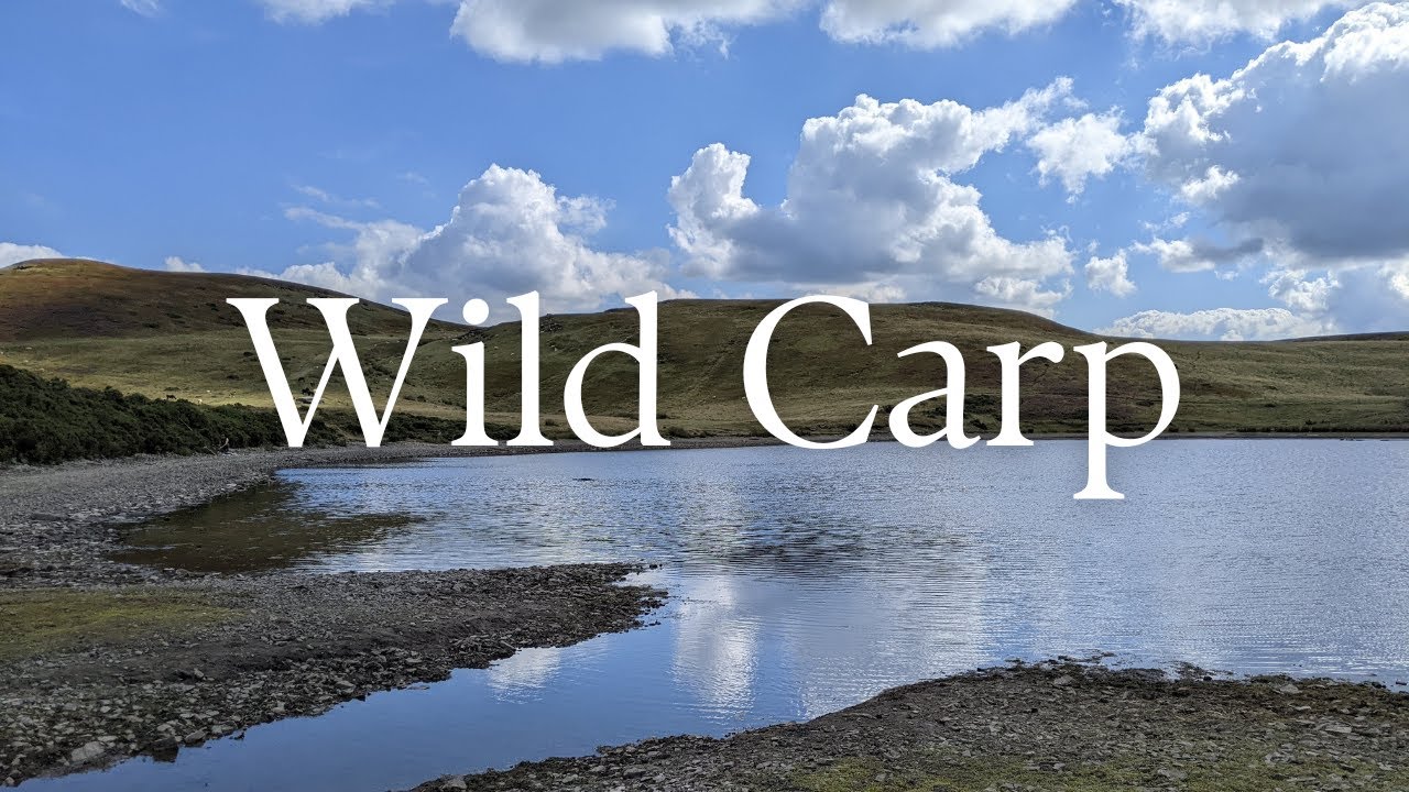Fishing for Wild Carp in a Hidden Welsh Llyn