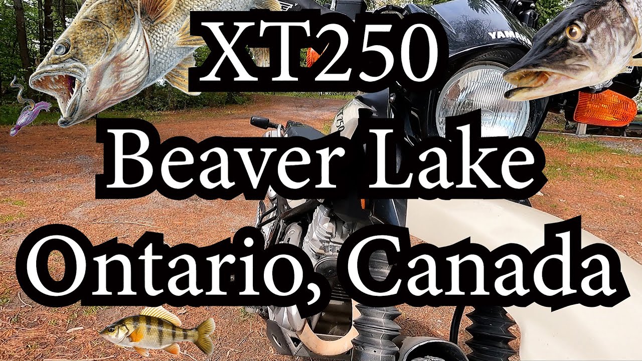 XT250 at Beaver Lake Ontario Canada #yamaha #xt250