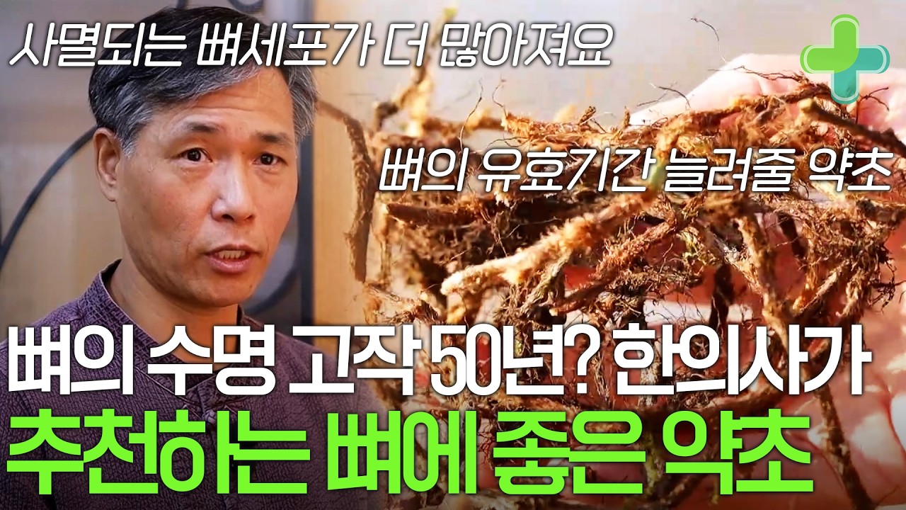 우리 몸도 유효기간이 존재한다? 뼈 수명 연장하는 한의사 추천 약초