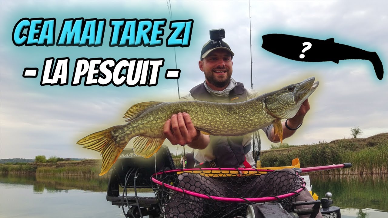 Atacuri Unul Dupa Altul | Activitate Non-Stop | Pescuit La Stiuca Din Caiac