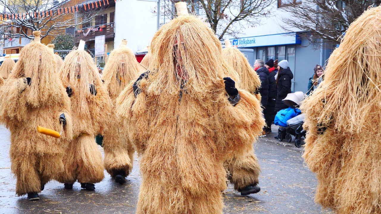 Narrentreffen in Dauchingen Teil5, Schwarzwälder Narrentreff