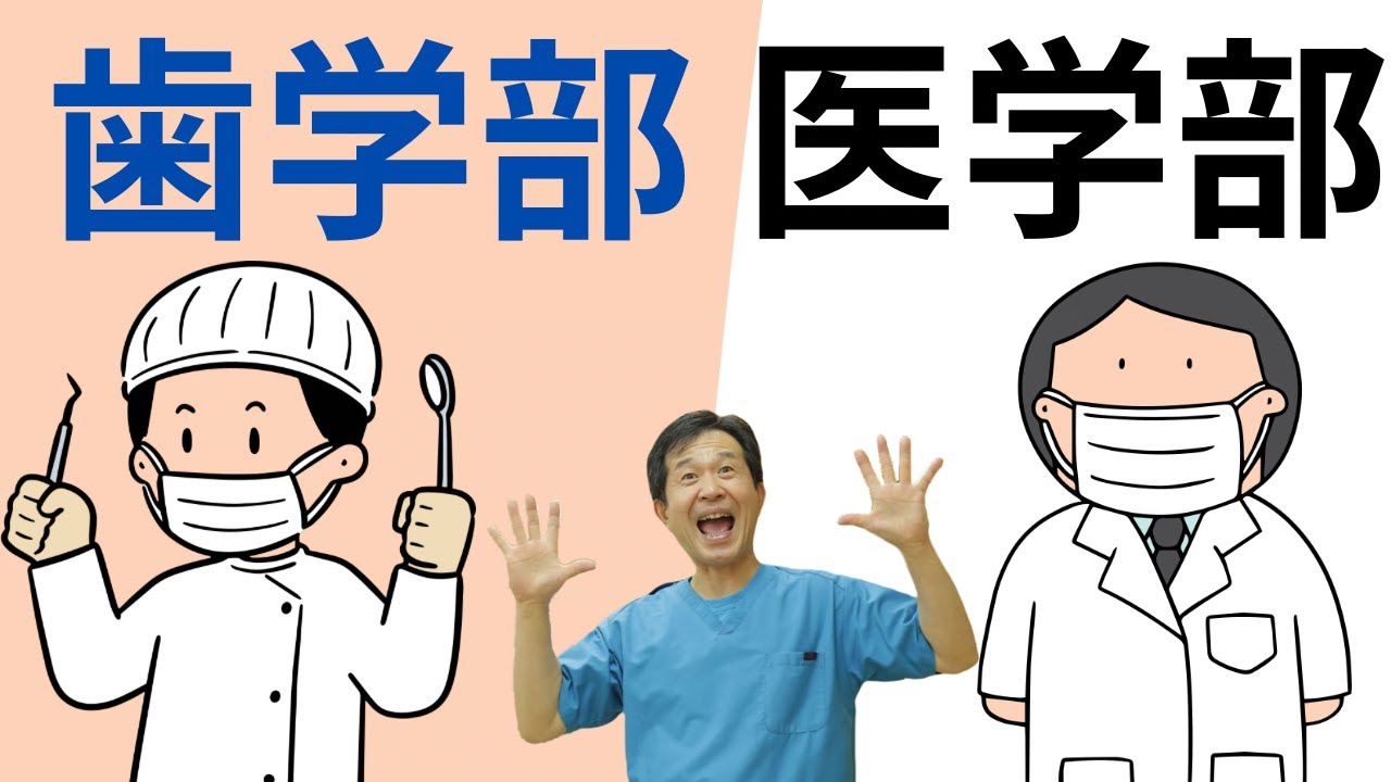 歯学部と医学部なんで別なの⁉️【歯科界の闇を歯科医が解説】