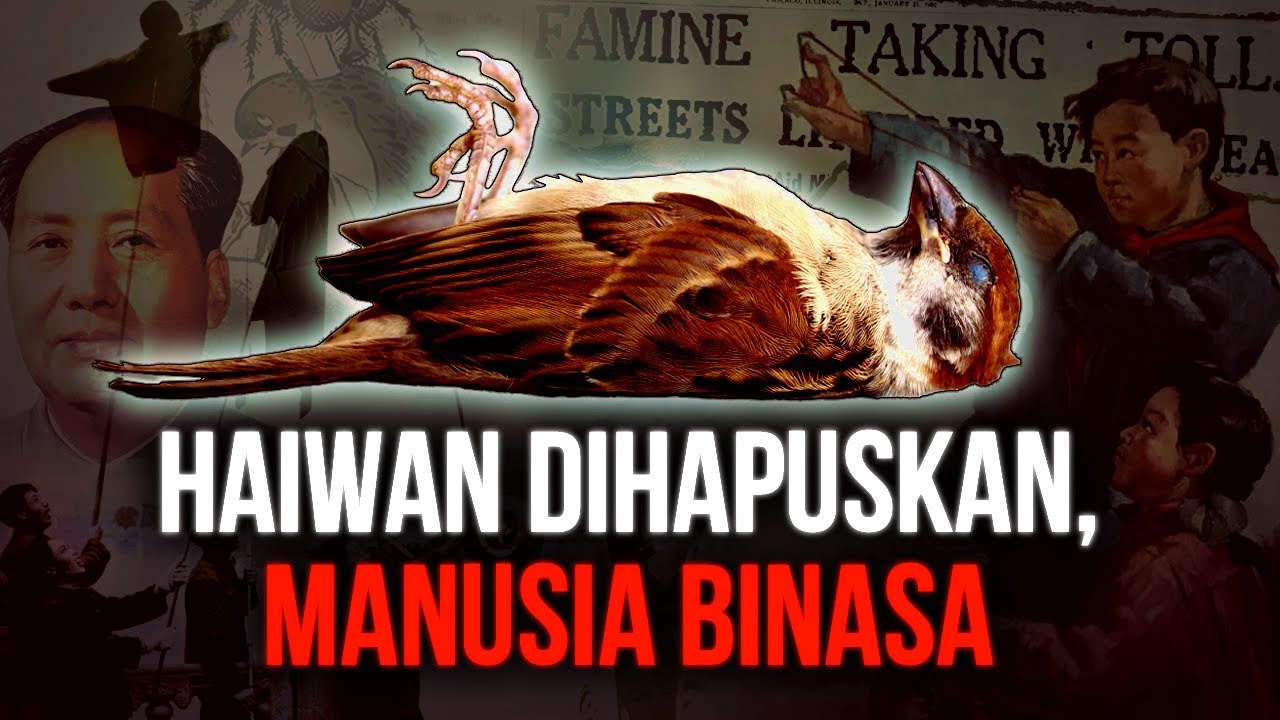 Haiwan perosak? Atau MANUSIA yang merosakkan? (KEMPEN 4 PEROSAK CINA 1958 + BONUS!)