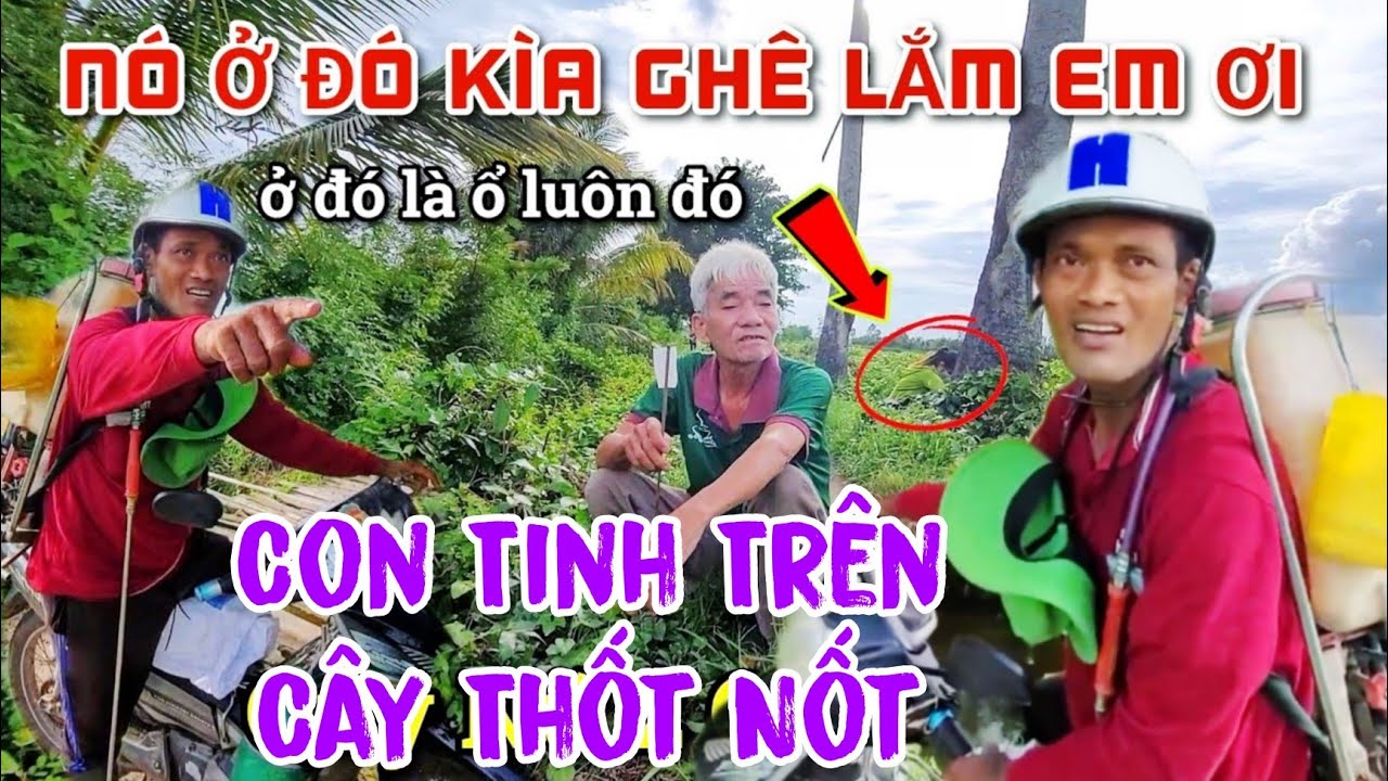 Câu Chuyện Rợn Tóc Gáy: Cô Gái Hiện Hồn Bồng Con Trên Ngọn Thốt Nốt Ở Vùng Biên Giới Cam