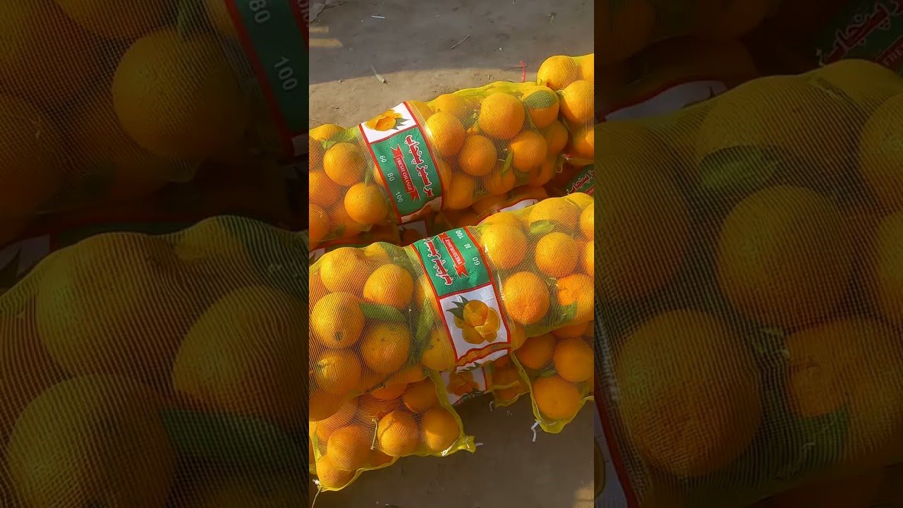 Vegetable and fruits Wholesale Rate #food #share #like #subscribe 