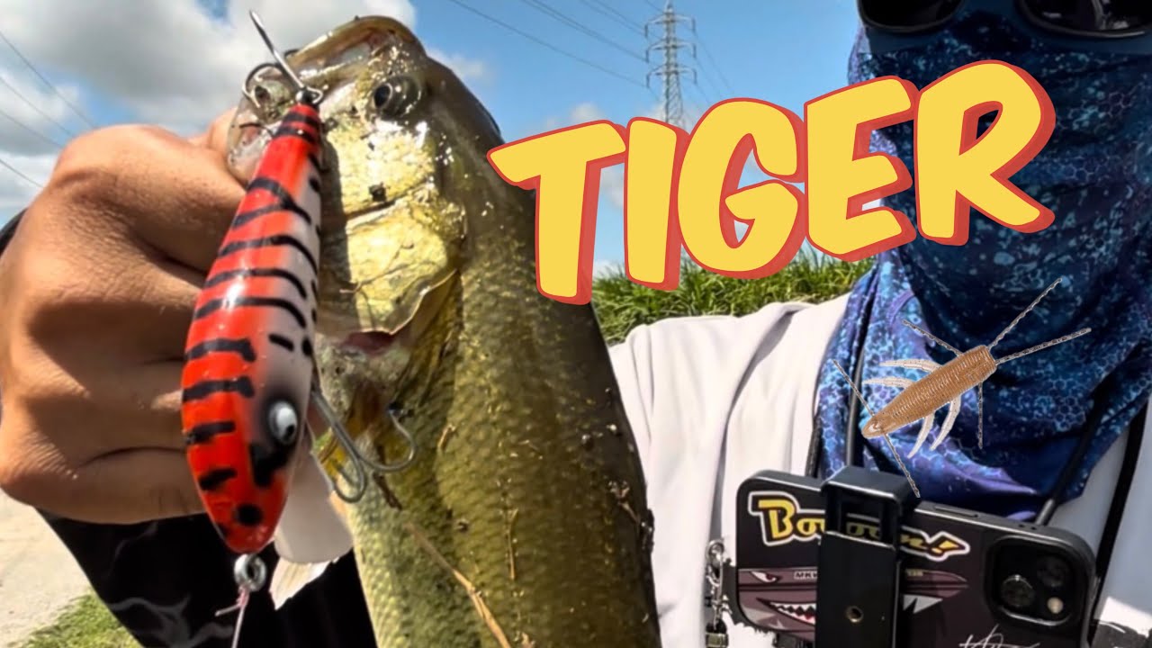 【霞ヶ浦🐟陸っぱりバス釣り】8.3釣行🎣