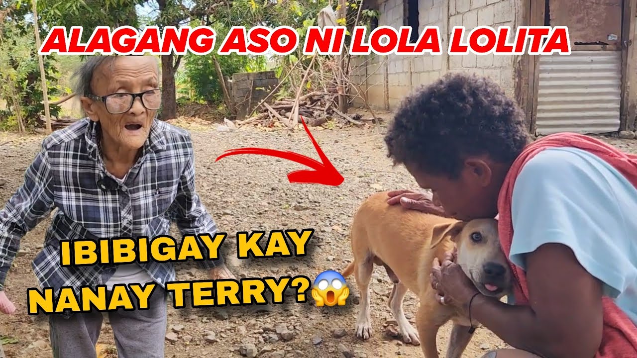 NAKAKATUWA ALAGANG ASO NI LOLA LOLITA ANG LAMBING SA AMIN