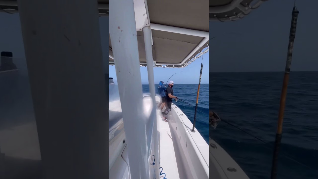 Tuna flying #fishing #fishingtuna #shorts