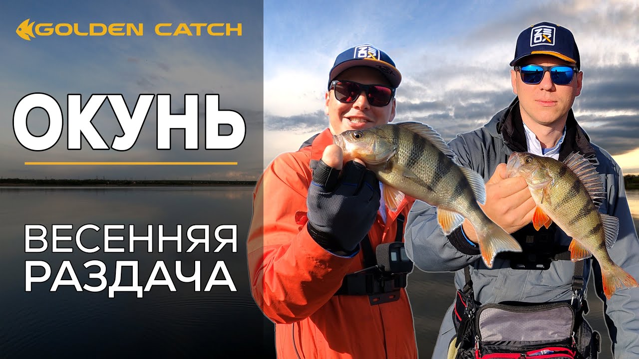 РАЗДАЧА КРУПНОГО ОКУНЯ! Джиг с дамбы. Golden Catch Attrezzo. Рыбалка 2021.