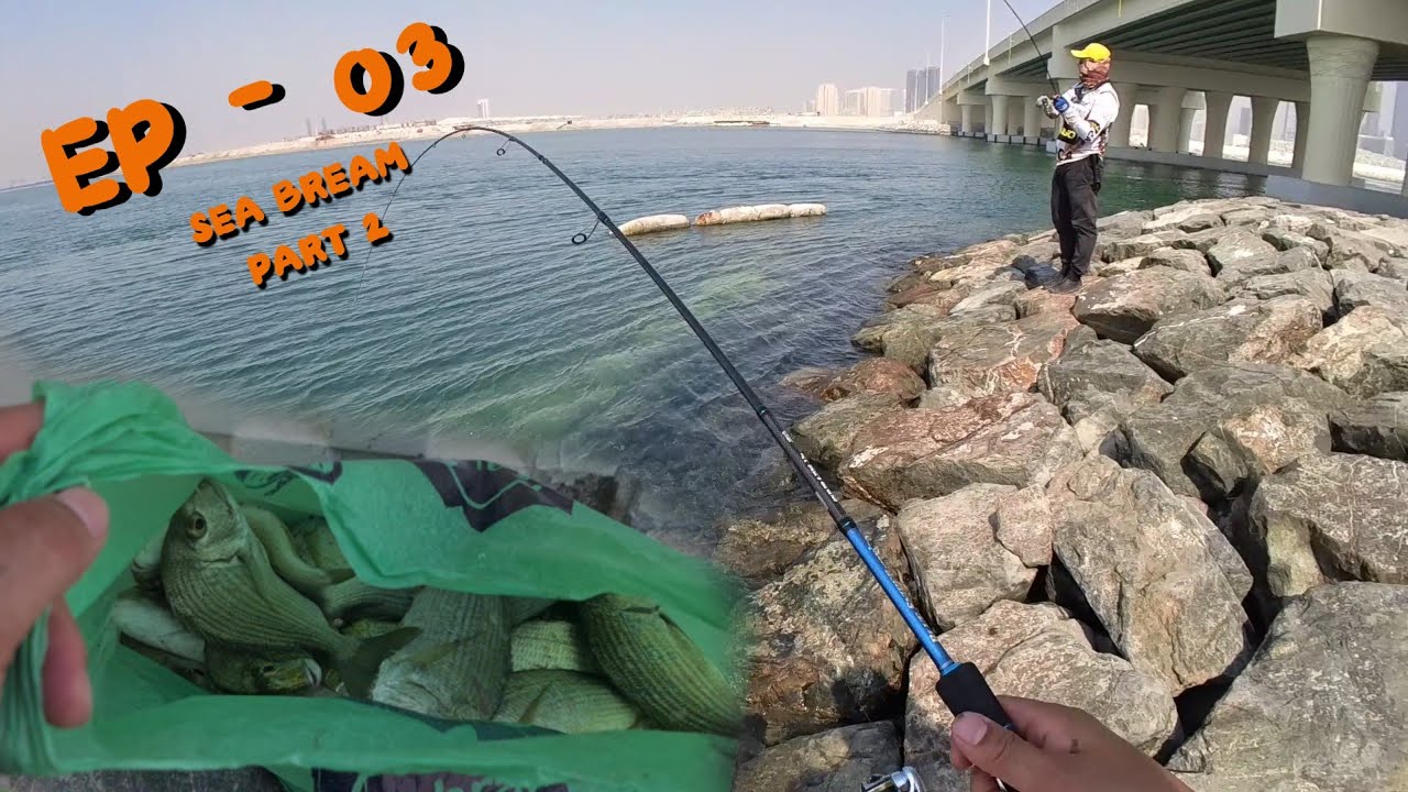 SEA BREAM part 2 | Abu  Dhabi | EP - 03