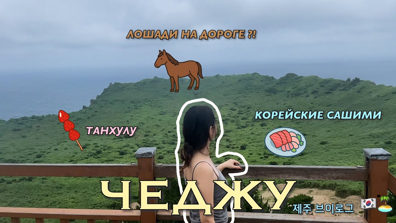 Путешествие по Чеджу 🇰🇷🏝️ | Море, Лошади на дороге🐎, Танхулу🍡 и Корейский свежие Сашими🐟 | 제주 브이로그