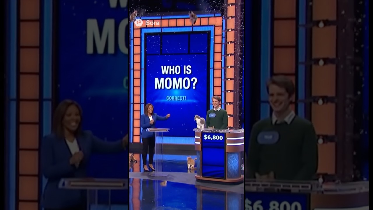Кто такой МОМО