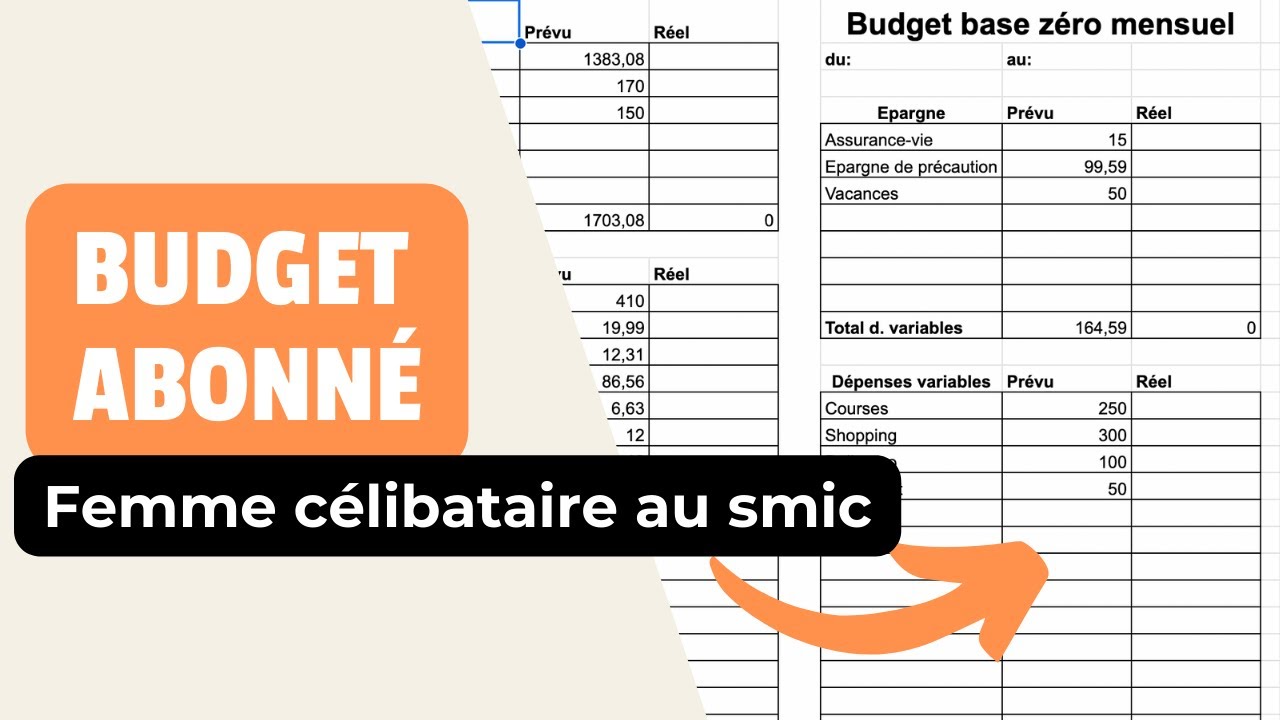 Budget Abonné à La Loupe 🔎 : Femme Célibataire au SMIC (Dépensière)