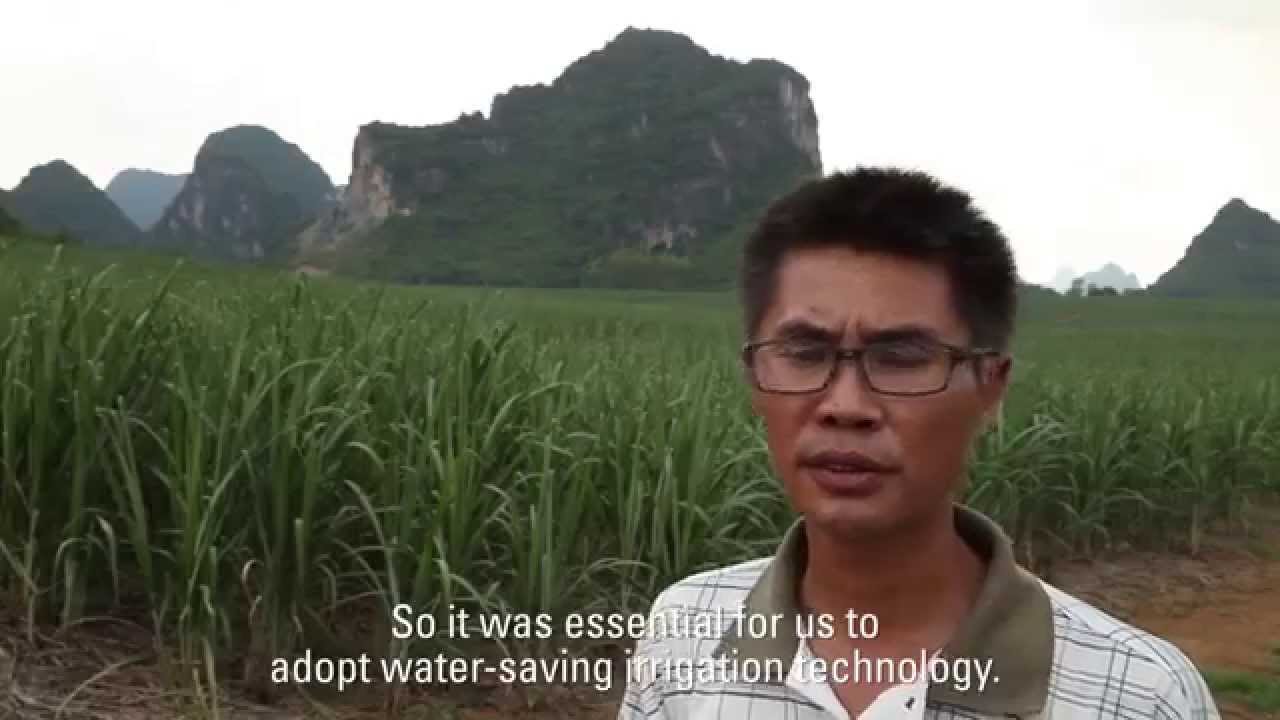 Drip Solution for Sugar cane in China: Netafim Customer Testimonial
