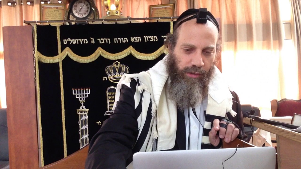 פרשת נח: הנזקים משכרות ואלכוהול - (ח