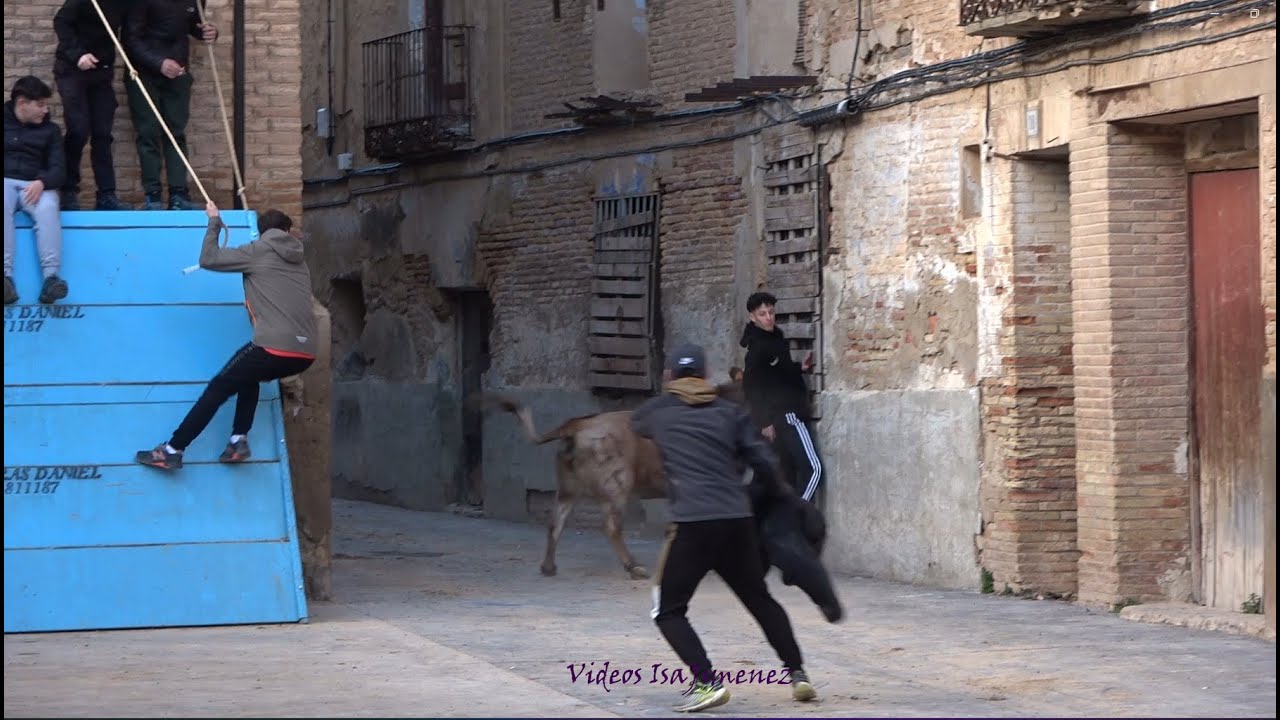 Plasencia de Jalón (Zaragoza) - Suelta de reses - 08/02/2025 - HD