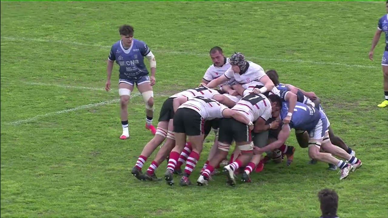 Serie A Elite Maschile, sedicesima giornata - Vicenza v Mogliano