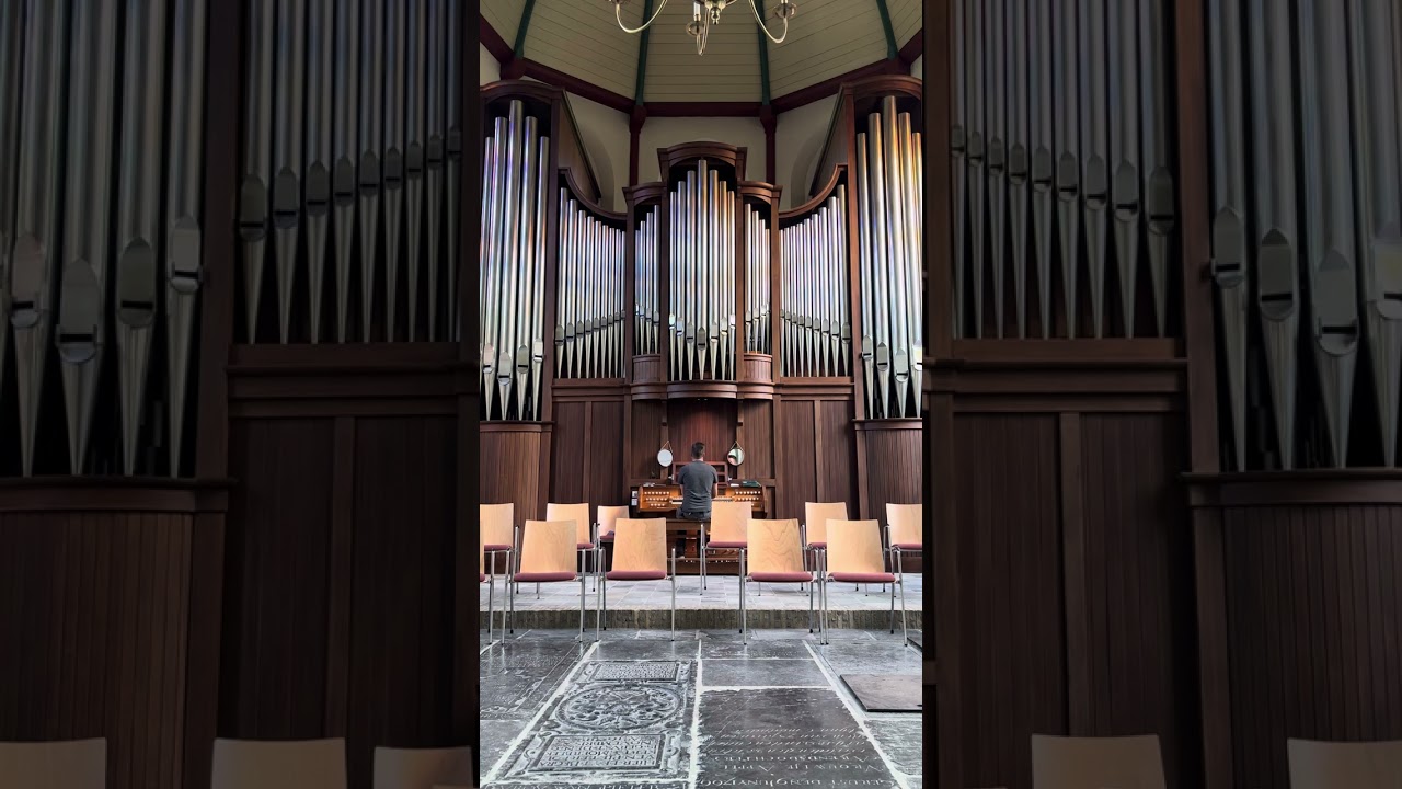 You Say | Lauren Daigle | on organ