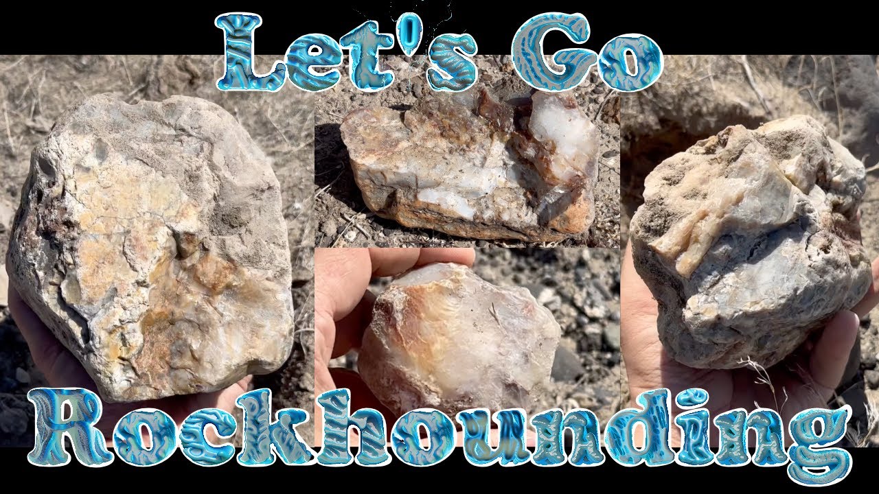 Rockhounding in Northern Nevada! Looking for Agate and Jasper, and Cutting A Few Rocks! ⛏️🪨🏜️