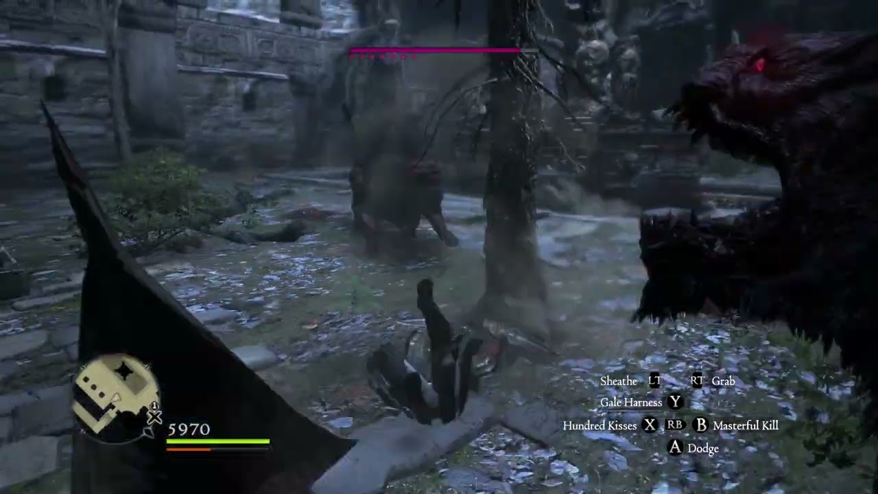 Dragon’s Dogma  Dark Arisen My assassin build