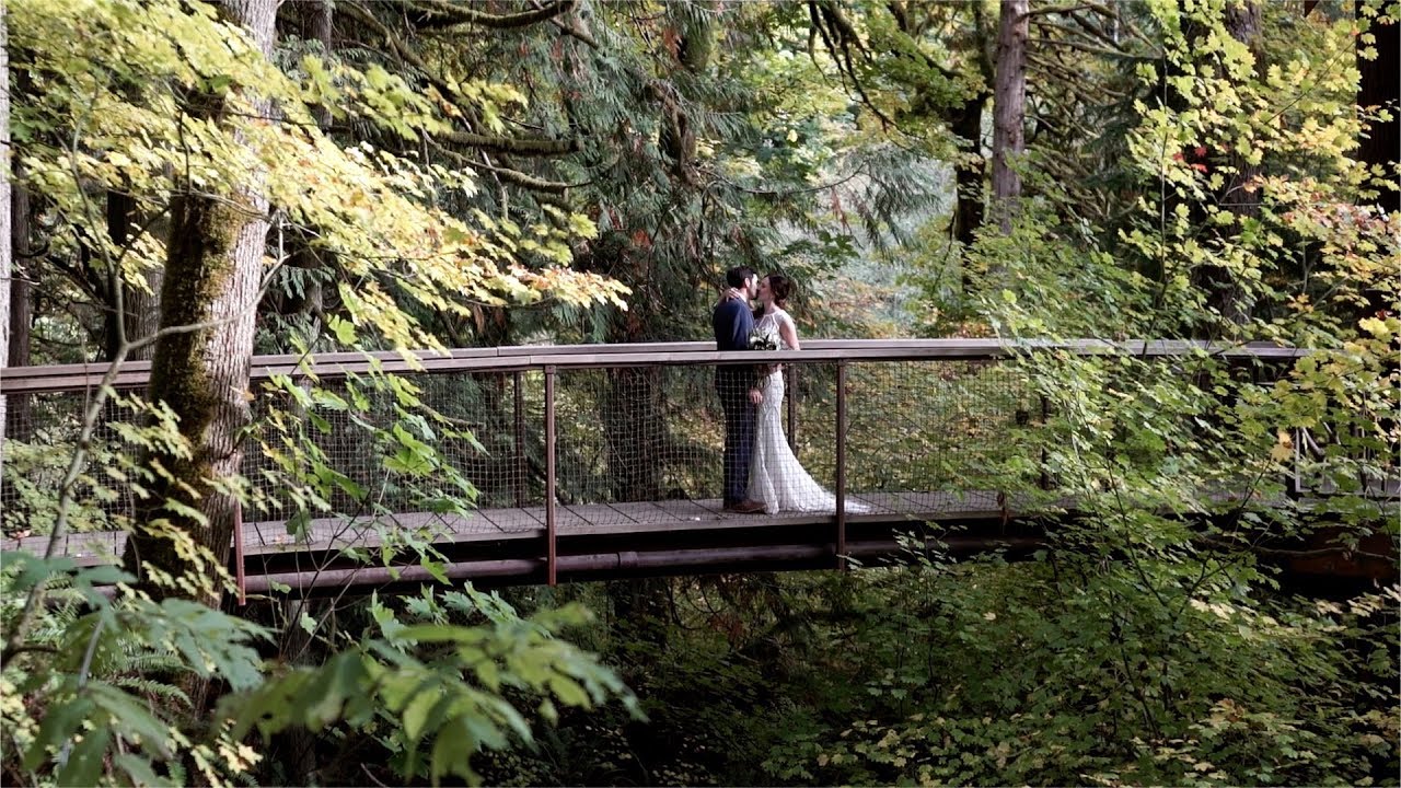 Gorgeous TreeHouse Elopement | Adventure Elopement Videographer